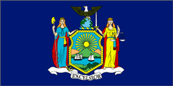 Water Doctors fixes Automotive Wind, Water and Dust Leaks in New York